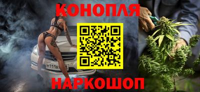 jwh Гатчина