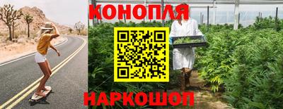 jwh Гатчина
