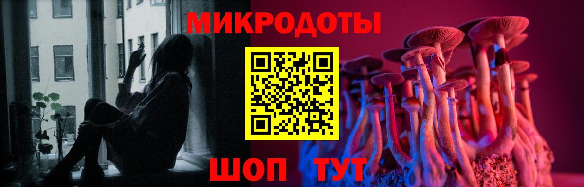 Псилоцибиновые грибы GOLDEN TEACHER Владикавказ